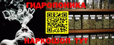 индика Славгород