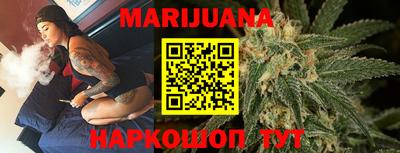индика Славгород