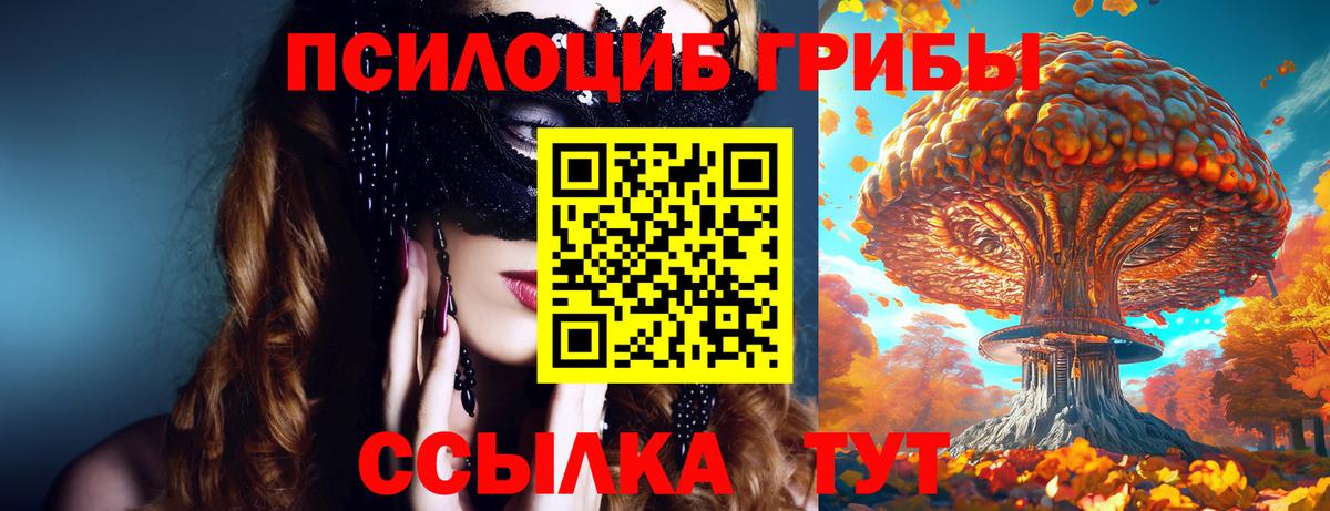 Псилоцибиновые грибы мицелий Орёл